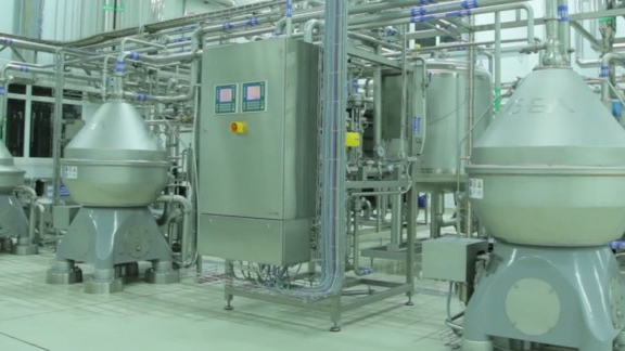 Automated control system of Cheese production